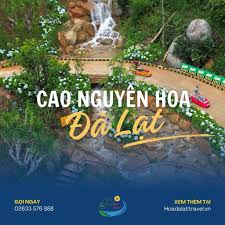 Khu Du Lịch Sinh Thái Cao Nguyên Hoa