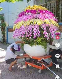 Trang trại Bảo Hoàng